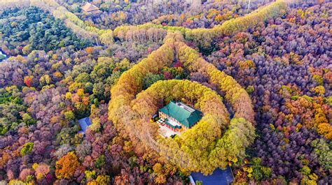 南京山|钟山风景名胜区